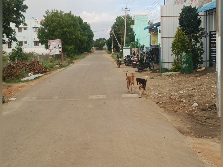 குறுக்கே வந்த  நாய்.... பைக்கில் சென்ற அரசு பஸ் டிரைவர் கீழே விழுந்து பலி..கோவில்பட்டி அருகே சோகம்..!