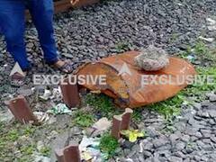 मुंबईत लोकलसमोर लोखंडी ड्रम ठेवून घातपाताचा प्रयत्न, मोटरमनच्या सतर्कतेमुळे मोठा अनर्थ टळला