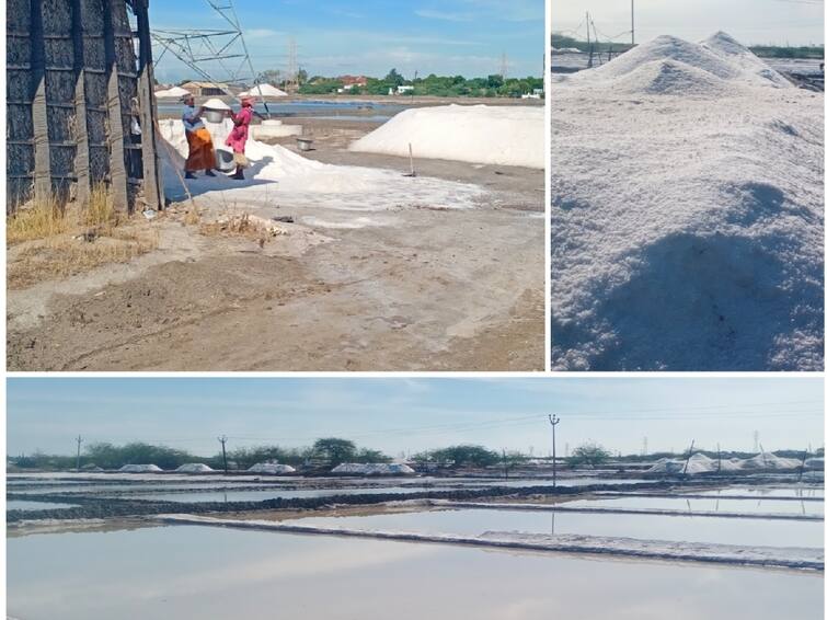 Salt production declines in Thoothukudi due to adverse weather conditions TNN கை கொடுக்காத பருவநிலை.... தூத்துக்குடியில் உப்பு உற்பத்தி சரிவு...!
