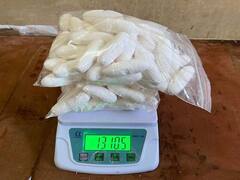 मुंबई एयरपोर्ट पर यात्री गिरफ्तार, पेट में छिपाकर रखे थे कोकीन के 87 ‘कैप्सूल’, 13 करोड़ है कीमत