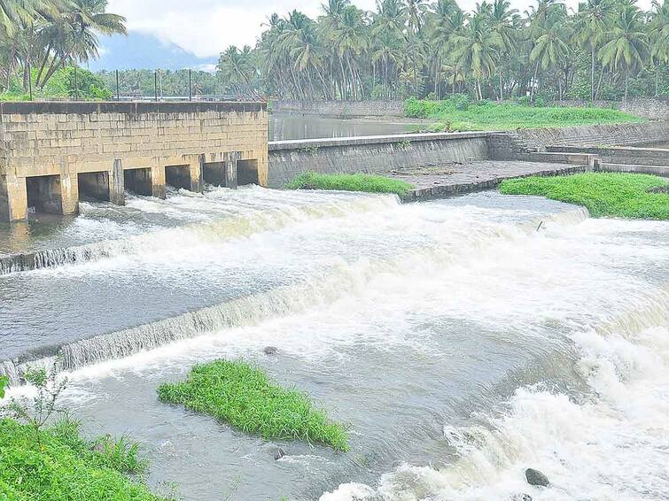 Incessant rains in Kanyakumari pits flood warning in Tamiraparani river TNN குமரியில் தொடர் மழை... குழித்துறை தாமிரபரணி ஆற்றில் வெள்ள அபாய எச்சரிக்கை