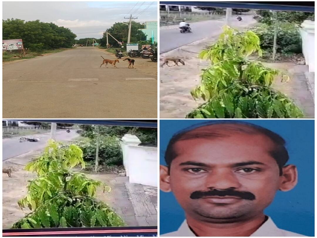 குறுக்கே வந்த  நாய்.... பைக்கில் சென்ற அரசு பஸ் டிரைவர் கீழே விழுந்து பலி..கோவில்பட்டி அருகே சோகம்..!