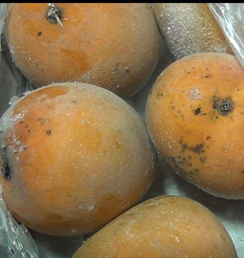 वर्षभर हवा तेव्हा आता हापूसची चव चाखता येणार