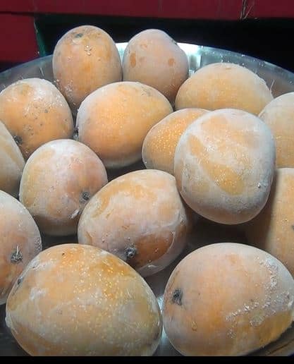 गणेशोत्सवाच्या काळात हापूस उपलब्ध