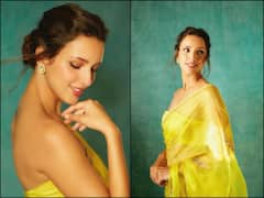 ‘लैला मजनू’ फेम Tripti Dimri ने ट्रांसपेरेंट साड़ी में कराया ग्लैमरस फोटोशूट, दिलकश अदाएं देख हो जाएंगे घायल