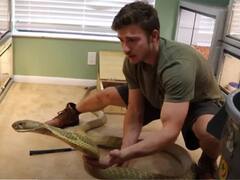 Viral Video: ਟੱਬ 'ਚ ਪਾਣੀ ਭਰ ਕੇ ਵਿਸ਼ਾਲ ਕਿੰਗ ਕੋਬਰਾ ਨੂੰ ਨਹਾਉਂਦੇ ਹੋਏ ਵਿਅਕਤੀ ਦੀ ਵੀਡੀਓ ਵਾਇਰਲ