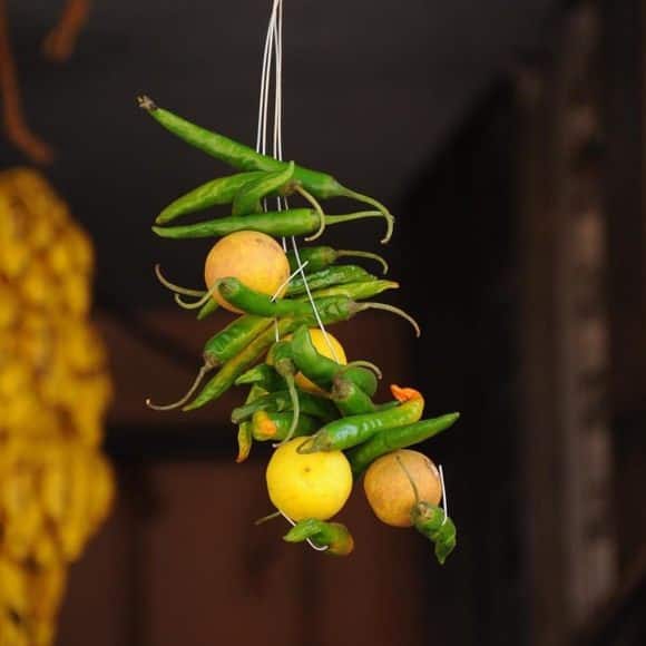 Jyotish upay nimbu mirchi totka lemon chilli superstition Jyotish Upay: ઘર અને દુકાનમાં શા માટે ટાંગવામાં આવે છે લીંબુ મરચા, જાણો રસપ્રદ કારણ