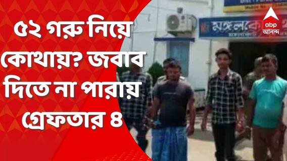 লরি ভর্তি গরু, জিজ্ঞাসাবাদে সন্তোষজনক ব্যাখ্যা না দিতে পারায় ধৃত ৪