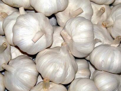 Can Garlic Help Keep Blood Pressure Under Control? Garlic and Blood Pressure : ரத்தக் கொதிப்பு பிரச்சனைகளுக்கு பூண்டு உதவி செய்யுமா? இதுல கட்டாயம் தெரியவேண்டியது எது?