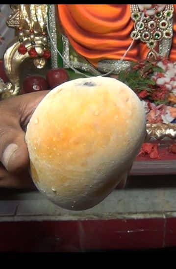 आता कोकणचा 'हापूस' वर्षभर चाखता येणार