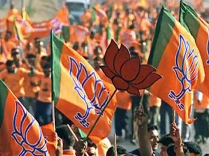 UP BJP organization will soon change, Appointment will be done on these posts including two state vice-president, general minister UP News: बीजेपी के प्रदेश संगठन में जल्द होगा बदलाव, दो प्रदेश उपाध्यक्ष, महामंत्री सहित इन अहम पदों पर होगी नियुक्ति