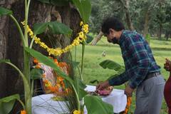 In Pics: बांधवगढ़ टाइगर रिजर्व में मनाया गया हाथी महोत्सव, हाथियों ने मसाज के साथ पकवानों की उड़ाई दावत, देखें तस्वीरें