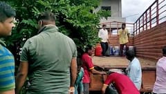 PHOTO: दारुचा महापूर! सोलापुरात 5 हजार लीटर हातभट्टी जप्त, लाखोंचा मुद्देमाल पकडला