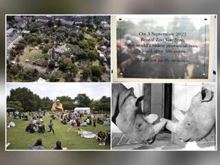 Bristol Zoo Gardens : உலகின் பழமை வாய்ந்த உயிரியல் பூங்காக்களில் (Zoo) ஒன்று பிரிஸ்டல்...மூடப்படுவது ஏன் தெரியுமா?