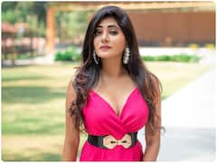 Bigg Boss Telugu 6 - Vasanthi Krishnan : నేను సింగిలే, క్లారిటీ ఇచ్చిన వాసంతి కృష్ణన్ - 'బిగ్ బాస్' హౌస్‌లోకి వెళ్ళగానే ముద్దు