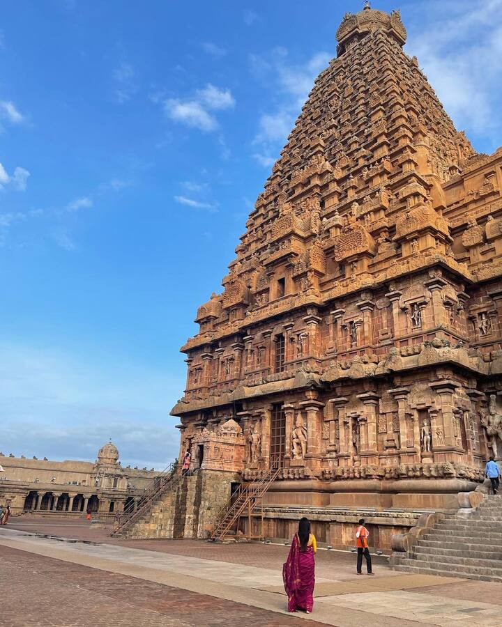 மகரந்த காட்டின் மான்குட்டி அவளது நடையாகும்