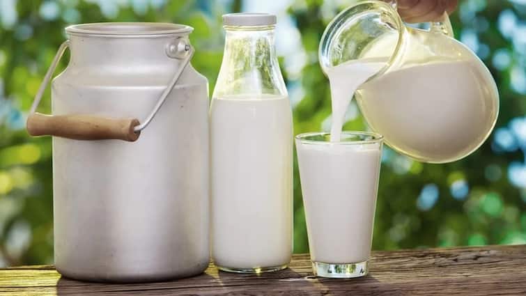 Which Milk Is Best For Baby Cow Milk Or Buffalo Milk For Weight Loss Digestion गाय का दूध ज्यादा फायदेमंद है या भैंस का? समझ लें फायदा आपका ही है!
