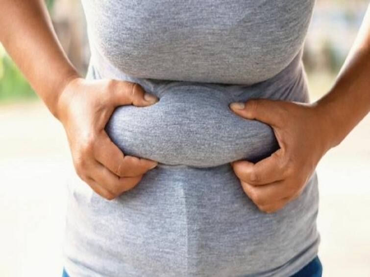 Too much belly fat raises heart attack risk, says study: What should Indians do to shed the excess weight? Heart Health : மாரடைப்பு, பக்கவாதம்.. வயிற்றில் உருவாகும் கொழுப்பு எவ்வளவு அபாயகரமானது?