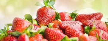 Strawberry Benefits to Health: There are many properties hidden in strawberry, it removes these problems of the body Strawberry Benefits to Health : ਸਟ੍ਰਾਬੇਰੀ 'ਚ ਛੁਪੇ ਨੇ ਕਈ ਗੁਣ, ਸਰੀਰ ਦੀਆਂ ਇਨ੍ਹਾਂ ਸਮੱਸਿਆਵਾਂ ਨੂੰ ਕਰਦੀ ਦੂਰ