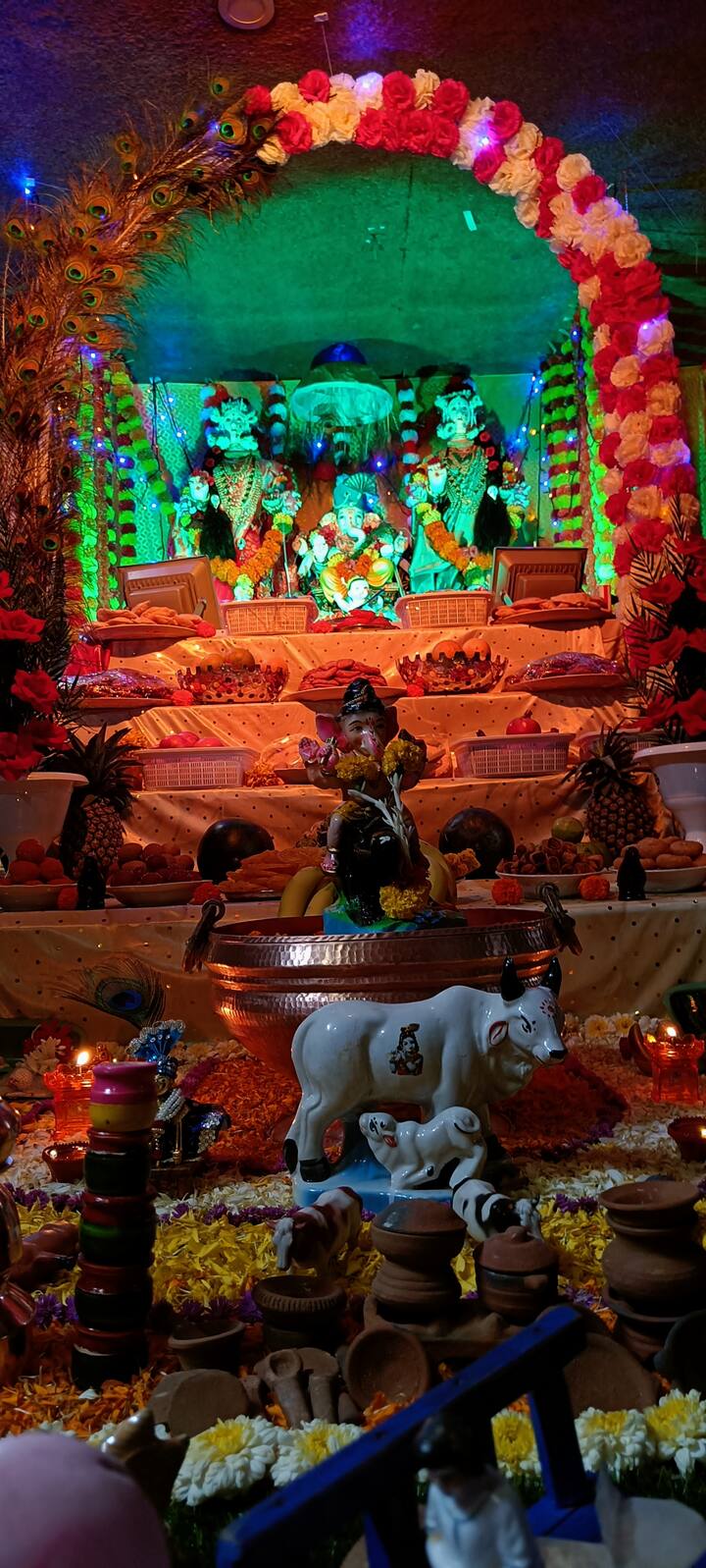 अनिता इंद्रजीत खैरमोडे  शिवदर्शन, पार्वती, पुणे