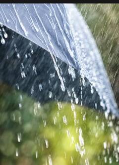 राज्यात काही ठिकाणी पावसाची हजेरी