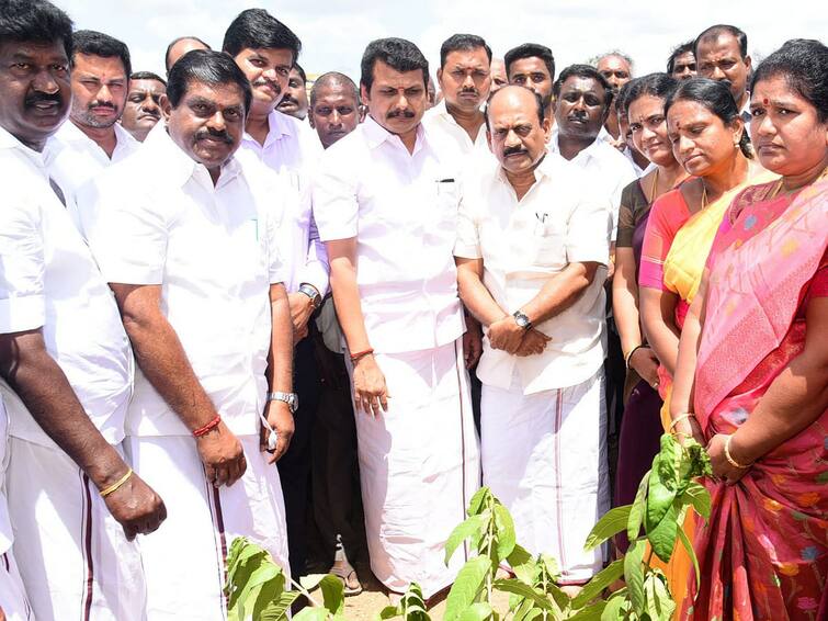 கரூரில் புதிய பேருந்து நிலையம் 9 மாதத்தில் கட்டி முடிக்கப்படும் - மாநகராட்சி Groundbreaking ceremony for new bus stand at Karur TNN கரூரில் புதிய பேருந்து நிலையம் 9 மாதத்தில் கட்டி முடிக்கப்படும் - மாநகராட்சி