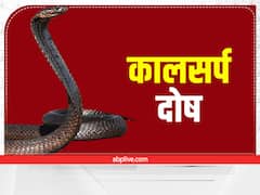 कालसर्प दोष से पीड़ित व्यक्ति को 42 साल तक नहीं मिलता है चैन, कुंडली में हो ये दोष तो आती हैं ऐसी परेशानियां