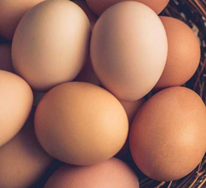 ਬੱਚਿਆਂ ਦੀ ਖੁਰਾਕ 'ਚ ਆਂਡੇ ਨੂੰ ਜ਼ਰੂਰ ਸ਼ਾਮਲ ਕਰੋ। ਆਂਡਾ ਪੌਸ਼ਟਿਕ ਤੱਤਾਂ ਦਾ ਭੰਡਾਰ ਹੈ। ਰੋਜ਼ਾਨਾ ਇੱਕ ਆਂਡਾ ਖਾਣ ਨਾਲ ਵਿਟਾਮਿਨ ਦੀ ਕਮੀ ਨੂੰ ਪੂਰਾ ਕੀਤਾ ਜਾ ਸਕਦਾ ਹੈ।