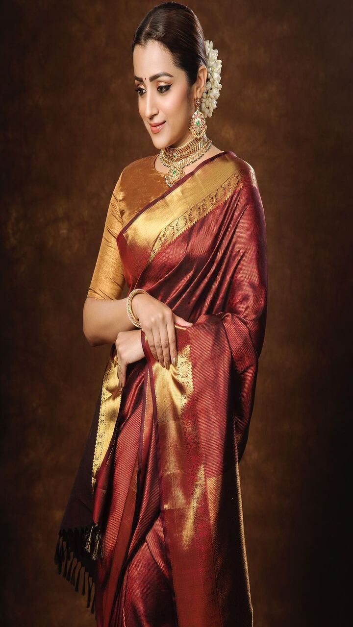 சமூக ஊடகங்களில் சேலையில் கலக்கும் தென் இந்திய நடிகைகள்