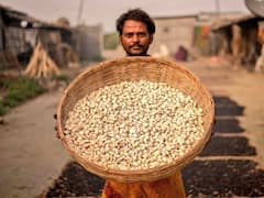 सुनहरा मौका! मखाना की खेती के लिये पायें 75% तक की सब्सिडी, इन किस्मों से होगा लाखों का मुनाफा