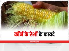 फेंके नहीं भुट्टा का रेशा, फायदे जान दंग हो जाएंगे आप