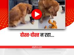 खुराफाती कुत्ते ने की दोस्त को मारने की कोशिश, वीडियो देख नहीं रुकेगी हंसी