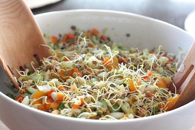 Light Breakfast Recipes For Post Diwali Detox Diwali Post Detox : தீபாவளிக்கு கன்னாபின்னான்னு சாப்பிட்டு, இப்போ செரிமான பிரச்சனையா? இதை செய்யுங்க போதும்..