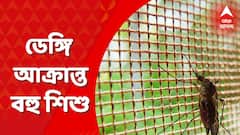 Dengue : রাজ্যের ডেঙ্গি পরিস্থিতি ভয়াবহ, আক্রান্ত হচ্ছে বহু শিশু !