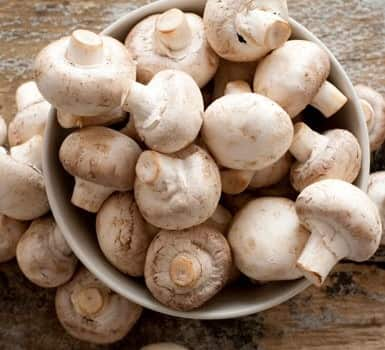 Mushrooms Benefits : मशरूममध्ये जीवनसत्त्वे, खनिजे आणि अमीनो अॅसिड आढळतात.