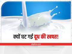 महंगे दूध का असर! तीन में एक परिवार अब कम कर रहे दूध की खपत
