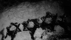 సినిమా రివ్యూ రాస్తే చంపేసే సీరియల్ కిల్లర్ క్యారెక్టర్ తో చుప్ సినిమా, ట్రైలర్ విడుదల