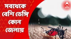 কেন এখন এমন ডেঙ্গির বাড়বাড়ন্ত ? কমবে কবে ?