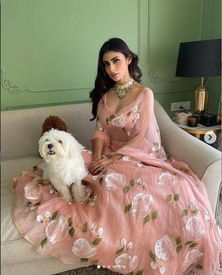 Mouni Roy Pics: ਮੌਨੀ ਰਾਏ ਆਪਣੀ ਵਿਲੱਖਣ ਡਰੈੱਸਅੱਪ ਅਤੇ ਬੋਲਡ ਅੰਦਾਜ਼ ਲਈ ਜਾਣੀ ਜਾਂਦੀ ਹੈ, ਮੌਨੀ ਰਾਏ ਨੇ ਇੱਕ ਵਾਰ ਫਿਰ ਗੁਲਾਬੀ ਫਲੋਰਲ ਪ੍ਰਿੰਟਿਡ ਡਰੈੱਸ 'ਚ ਧਮਾਲ ਮਚਾ ਦਿੱਤੀ ਹੈ।