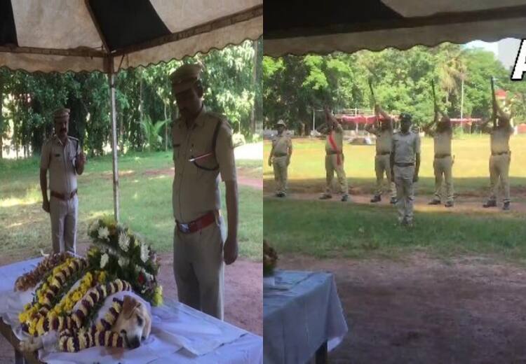 Police Dog Last Rites: पुलिस ने डॉग गीता का पूरे राजकीय सम्मान के साथ किया अंतिम संस्कार, बंदूकों से दी गई सलामी Karnataka Police performs last rites of canine squad dog Geetha with full honours in Mangaluru Police Dog Last Rites: पुलिस ने डॉग गीता का पूरे राजकीय सम्मान के साथ किया अंतिम संस्कार, बंदूकों से दी गई सलामी