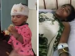 दुधमुंहे बच्चे को बाघ से लड़कर जबड़ों से छुड़ा लाई मां, जानें- रोंगटे खड़े कर देने वाला वाकया