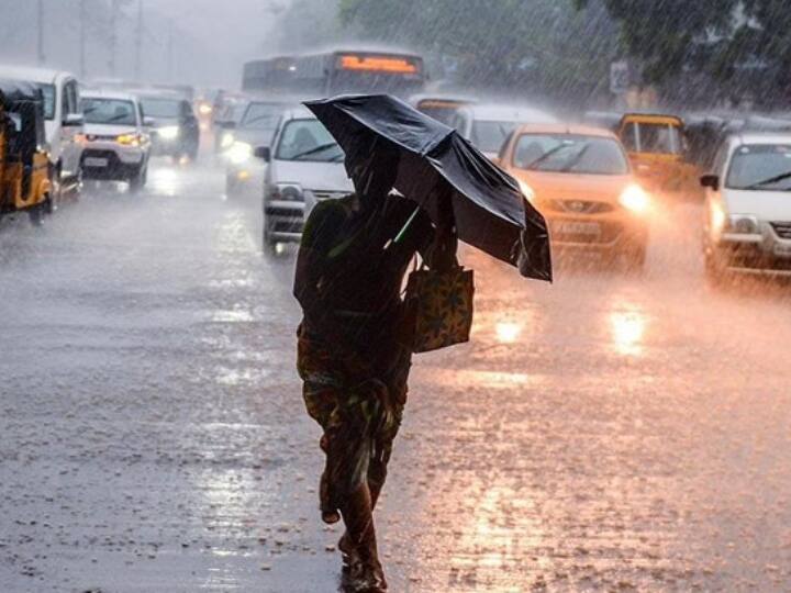 Tamil Nadu Rain Alert sky will be cloudy in Chennai for the next 48 hours - IMD Rain Alert: குடையுடன் தயாராக இருங்க.. சென்னையில் அடுத்த 48 மணிநேரத்தில் மழை.. வானிலை மையம் சொன்ன தகவல்!