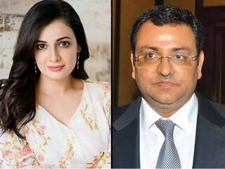 Dia Mirza Beg To People For Wear Seat Belt After Cyrus Mistry Death Cyrus Mistry Death: કાર અકસ્માતમાં સાયરસ મિસ્ત્રીના મોત બાદ દીયા મિર્જાનું આ ટ્વીટ થયું વાયરલ, જાણો શું લખ્યું...