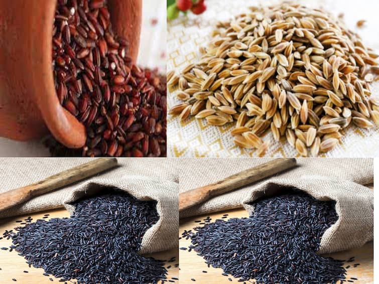 Thanjavur: Sale of traditional rice seeds at 50 percent subsidy TNN வாங்க...வாங்க...பயிரிட வாங்க.. 50% மானியத்தில் பாரம்பரிய நெல் விதைகள் விற்பனை!