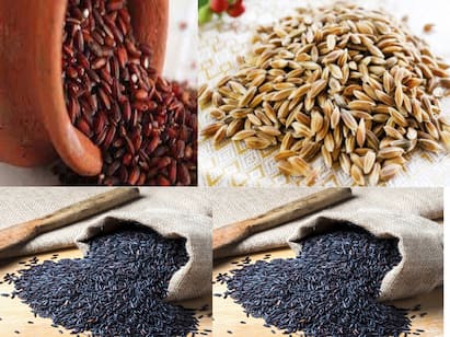 Thanjavur: Sale of traditional rice seeds at 50 percent subsidy TNN வாங்க...வாங்க...பயிரிட வாங்க.. 50% மானியத்தில் பாரம்பரிய நெல் விதைகள் விற்பனை!
