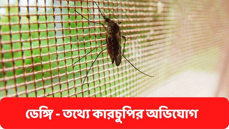 concealing dengue related information from the central Govt, Allegation Against West Bengal Govt Dengue : ডেঙ্গি নিয়ে রাজ্যের বিরুদ্ধে কেন্দ্রের কাছে তথ্য গোপনের অভিযোগ