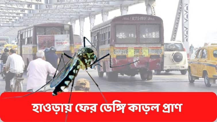 Death of an engineering student due to dengue,  mosquito borne disease spreading high in Howrah Dengue : ডেঙ্গি আক্রান্ত হয়ে ইঞ্জিনিয়ারিং পড়ুয়ার মৃত্যু, হাওড়ায় ভয়াবহ মশাবাহিত রোগ