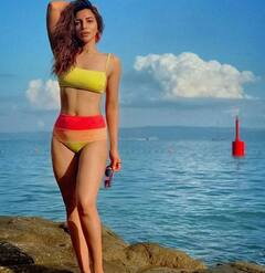 Shama Sikander Pics:શમા સિકન્દરની બિકિની તસવીરોએ લગાવી આગ, જુઓ એક્ટ્રેસનો હોટ અંદાજ