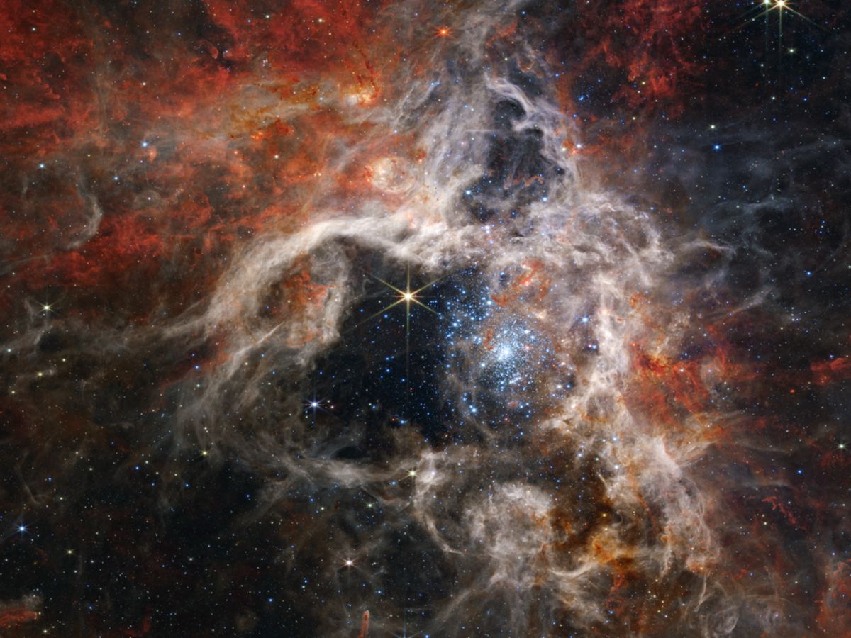 This is a mosaic imaging stretching 340 light-years across. Webb's Near-Infrared Camera (NIRCam) reveals the star-forming region of the Tarantula Nebula in a new light. The image shows tens of thousands of never-before-seen young stars that were previously shrouded in cosmic dust.