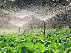 अब खत्म हुई सिंचाई की चिंता! ड्रिप, मिनी स्प्रिंकलर और पोर्टेबल स्प्रिंकलर पर 55% तक सब्सिडी, यहां उठायें फायदा